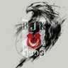 bjk2516