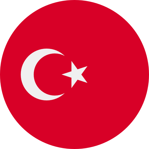 MİLLİ MAÇLAR